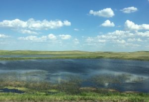 Saskatchewan field with water