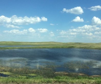 Saskatchewan field with water